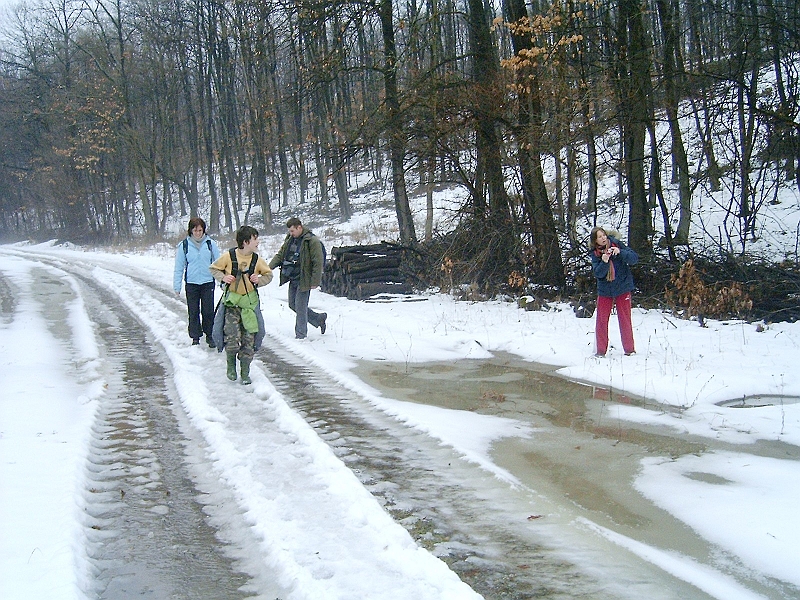 20100220 030.jpg